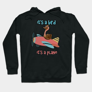 It's a Bird Hoodie